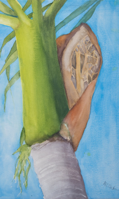 Christmas Palm 4