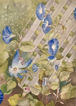 Evolution of a Morning Glory