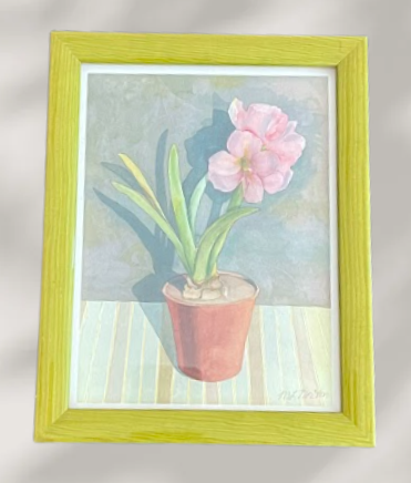 Pink Amaryllis - One Pot