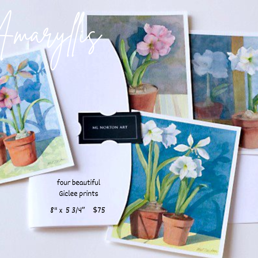 Pink & White Amaryllis Prints: 8” x 5 3/4”, Set of 4 prints