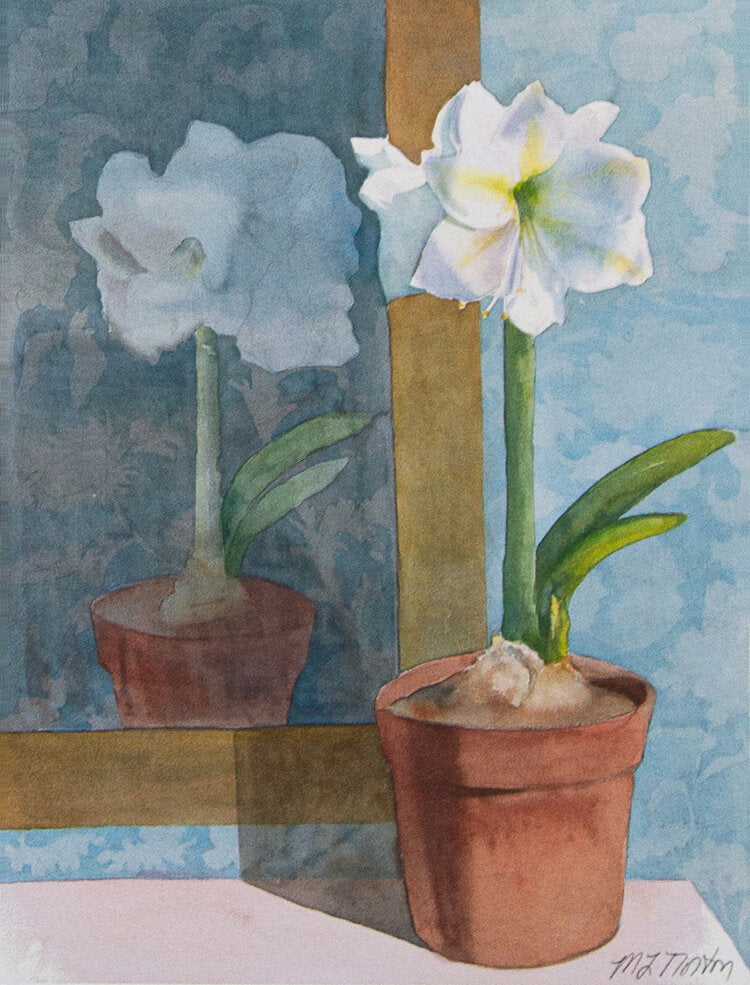 White Amaryllis with Mirror